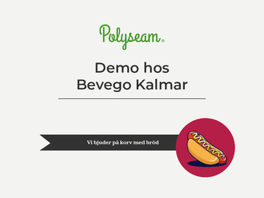 Polyseam Lunchdemo