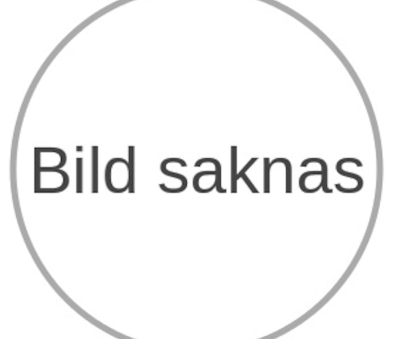 bildsaknas_01.jpg