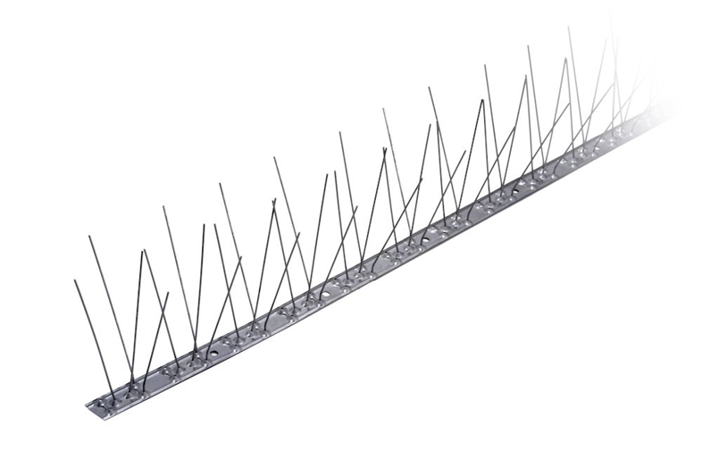 2645303_01.jpg