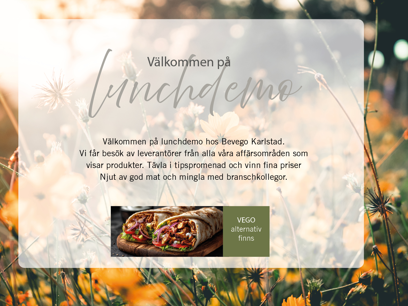 lunchdemo_27 maj_webben Karlstad.jpg